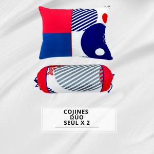 COJINES DÚO SEÚL X2