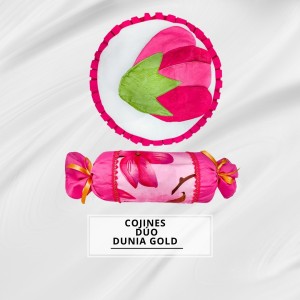 COJINES DÚO DUNIA OLD X2
