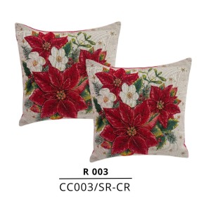 COJINES CUADRADOS R 003 X2