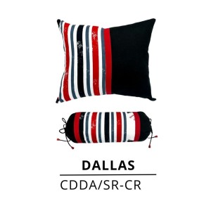 COJINES DÚO DALLAS X2