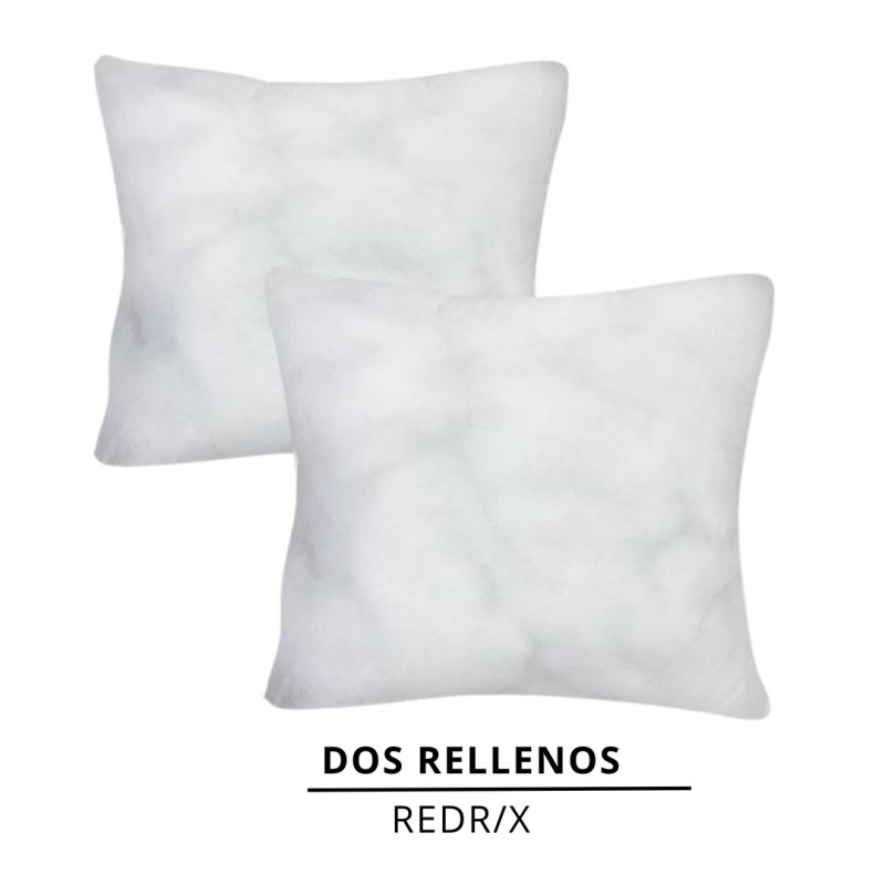 DOS RELLENOS DE COJINES