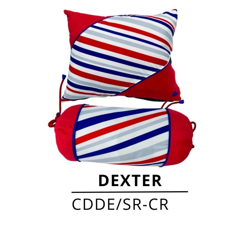 COJINES DÚO DEXTER X2