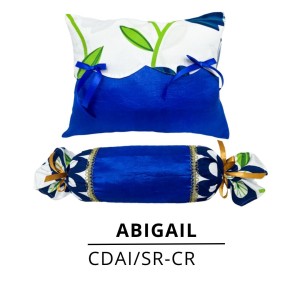 COJINES DÚO ABIGAIL X2