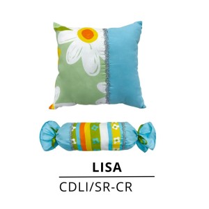 COJINES DÚO LISA X2